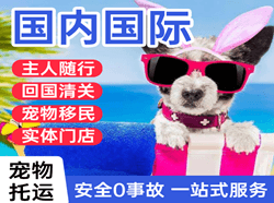 遥墙机场托运国际宠物托运 【国